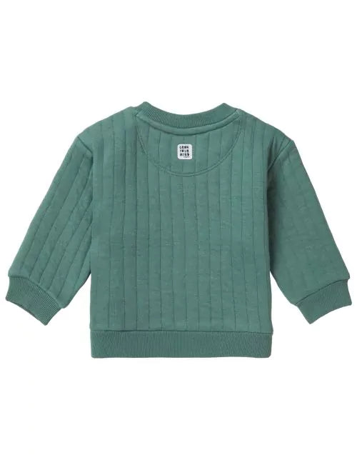 Noppies Boys Sweater Teaticket Long Sleeve - Dark Forest