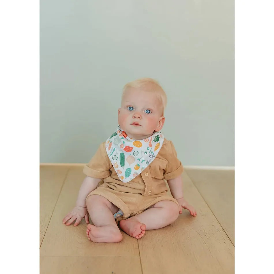 Copper Pearl Bandana Bibs Set - Veggies