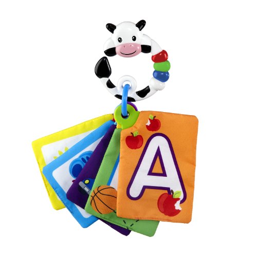 Baby Einstein Take Along Discover Letter