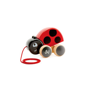 Hape Pull Along Ladybug E0362