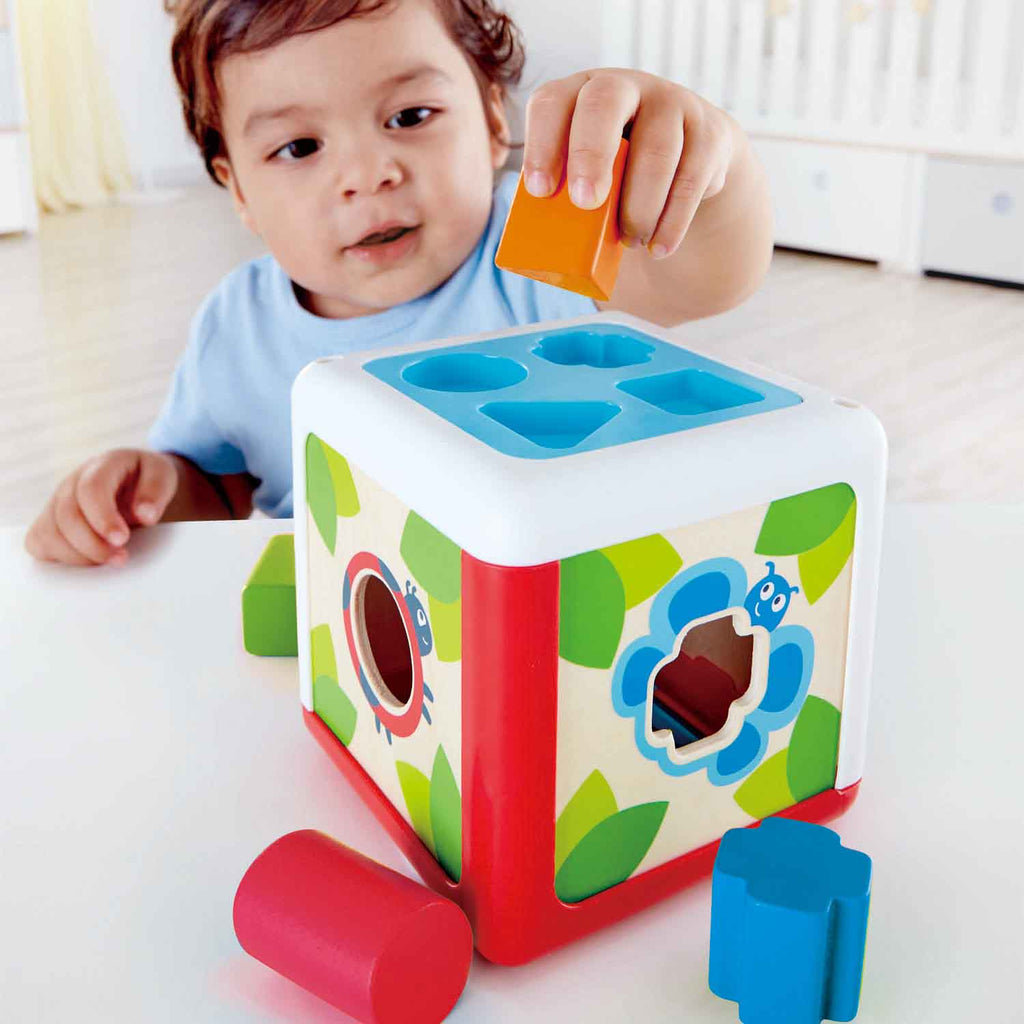 Hape Shape Sorting Box E0507