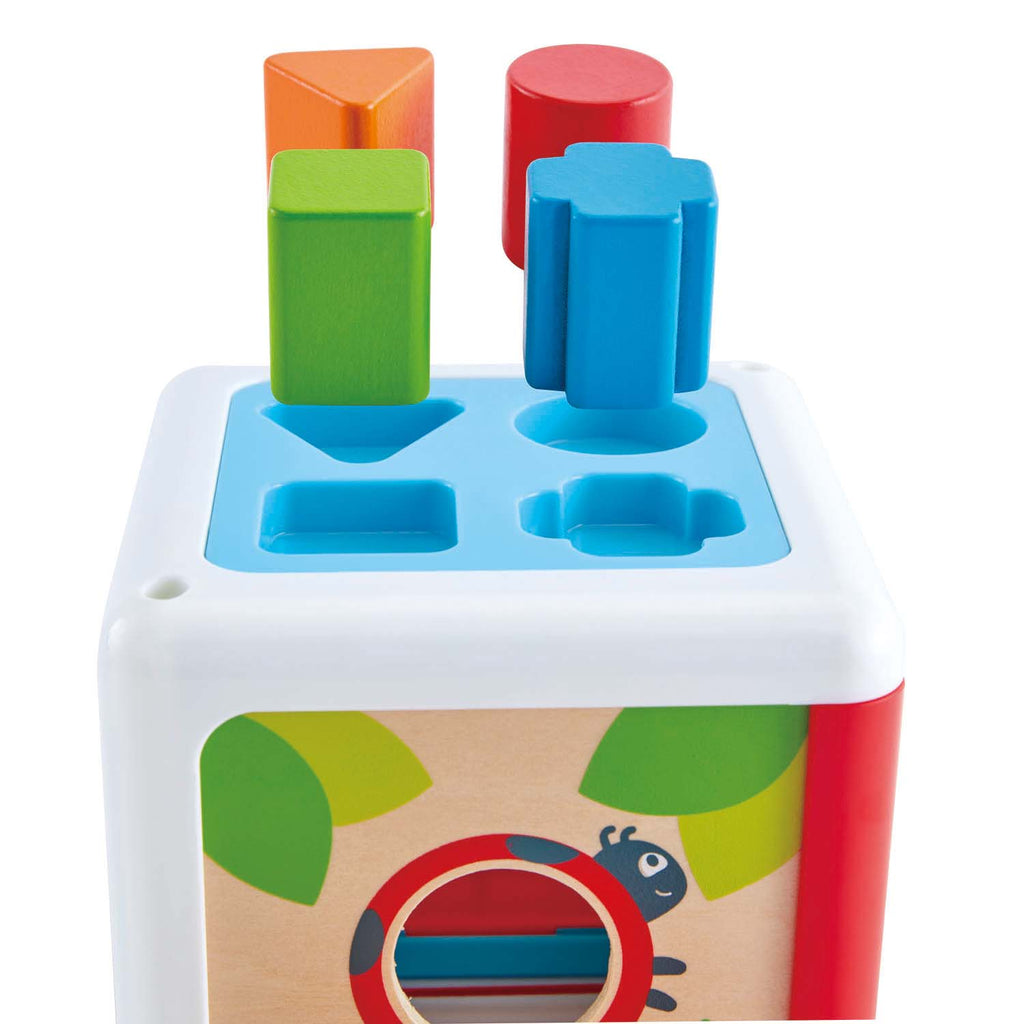 Hape Shape Sorting Box E0507