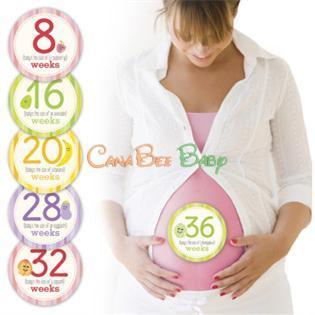 Pearhead Pregnancy Belly Stickers - CanaBee Baby